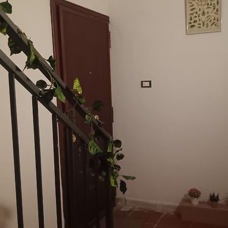דירות פלרמו Casa Selinunte מראה חיצוני תמונה